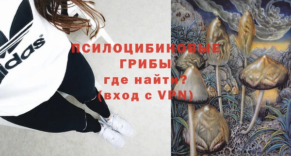 дурь Волоколамск