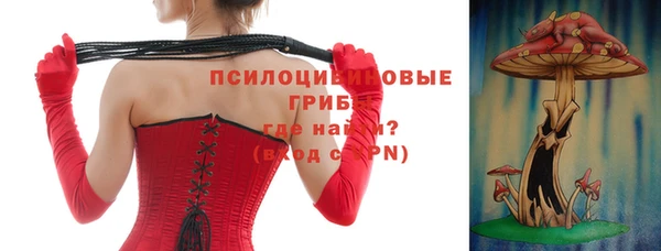 дурь Волоколамск