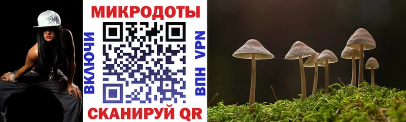 Псилоцибиновые грибы прущие грибы  Карачаевск 