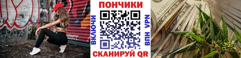 закладка Карачаевск Бошки Шишки индика